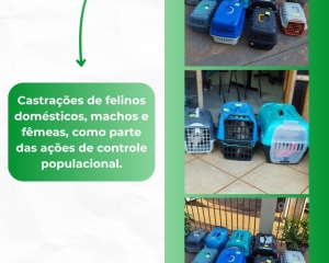 de-olho-nas-acoes-10.jpg